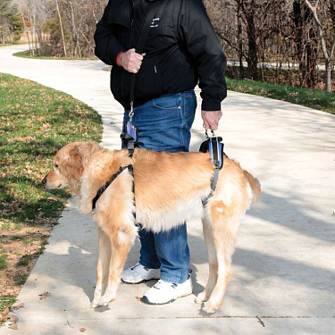 : Страховочные ремни на передние и задние лапы для собак с нарушением опорно-двигательного аппарата