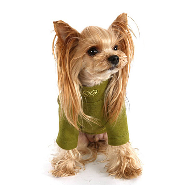 Одежда для собак: Водолазка для собак Puppy Angel