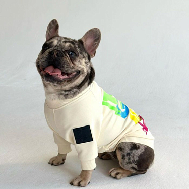 Одежда для собак: Свитшот для собак 