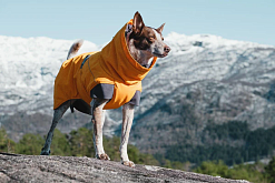 Теплая куртка для средних и большик пород Hurtta Expedition Parka