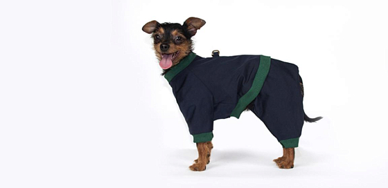 Одежда для собак: Комбинезон "TREVIS"