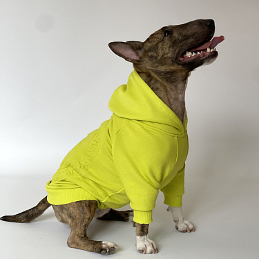 Одежда для собак: Худи для собак "Лимон"
