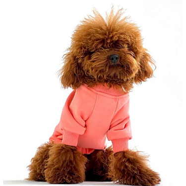 Одежда для собак: Свитшот для собак "Лосось"