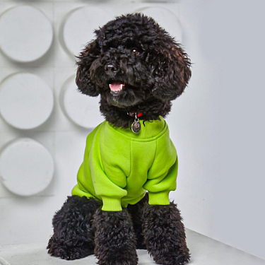 Одежда для собак: Свитшот для собак "Лимон"