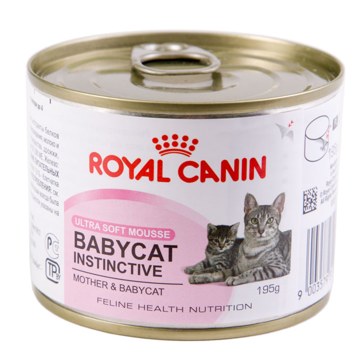 Роял в для кошек купить спб. Роял Канин для кошек mother Babycat консервы 195 г. Влажный корм Royal Canin mother & Babycat. Роял Канин бэби Кэт паштет. Мусс Royal Canin с рождения, Babycat Instinctive, 195 г.