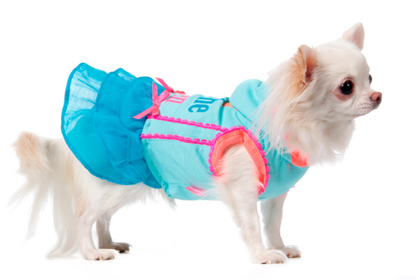 Декоративная летняя одежда для собак