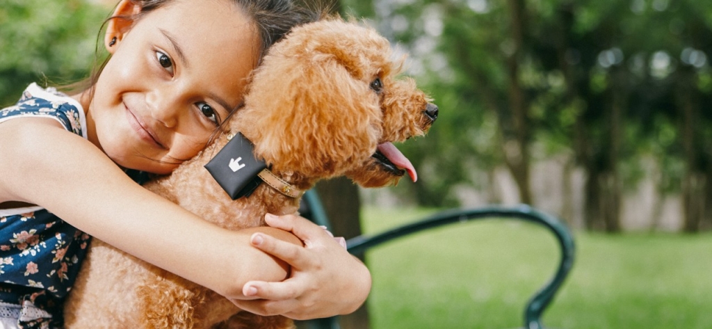 puppy_home_type02-1280x592.jpg puppy_home_type02-1280x592.jpg