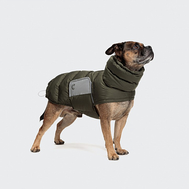 Одежда для собак: Пальто для бульдогов "Alaska Olive"