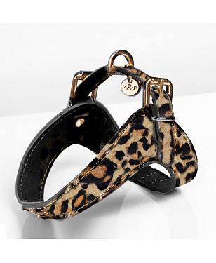 Поводки и ошейники для собак: Шлейка "Leopard"