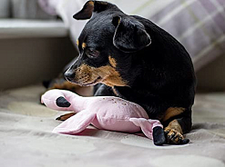 Эко-игрушка для собак мягкая "Фламинго"