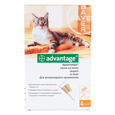 Аптека: Адвантейдж для кошек до 4 кг, 1 пипетка