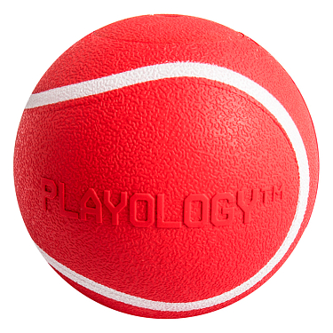 Игрушки: Хрустящий жевательный мяч SQUEAKY CHEW BALL с пищалкой и с ароматом говядины