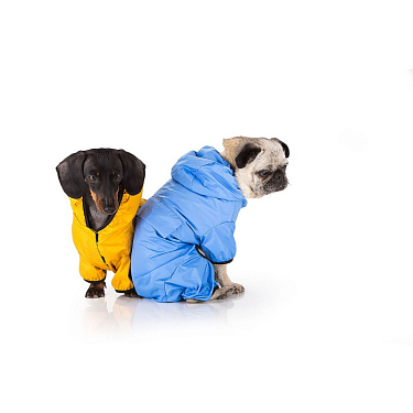Одежда для собак: Дождевик для собак "Pocket"