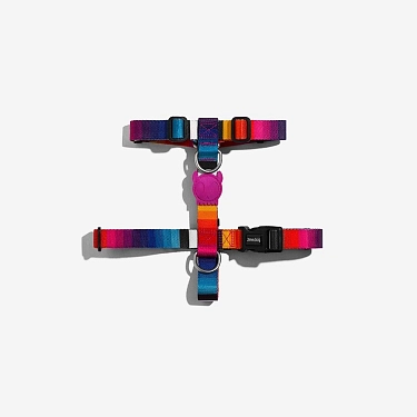 Поводки и ошейники для собак: Шлейка PRISMA Zee.Dog