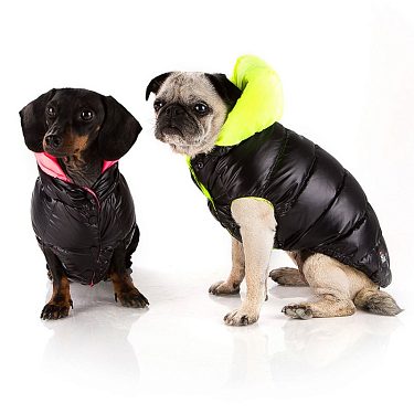Одежда для собак: Жилет "Punk Fluo"