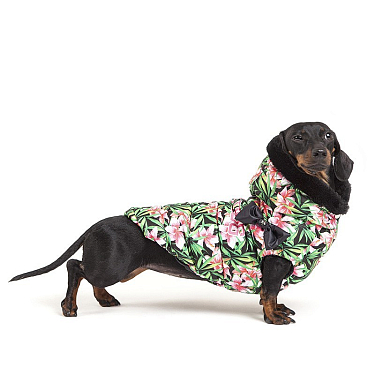 Одежда для собак: Жилетка "Kapsula Flowerpower"