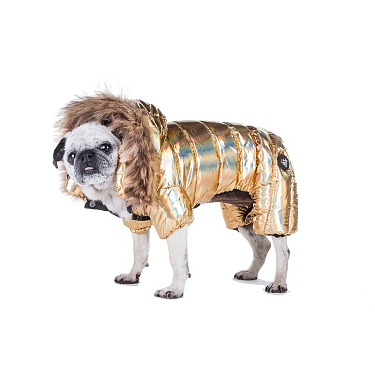 Одежда для собак: Пуховик зимний "OLOGRAFIC"