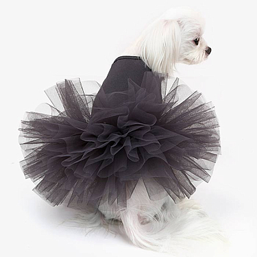 Одежда для собак: Платье "Original Tutu"