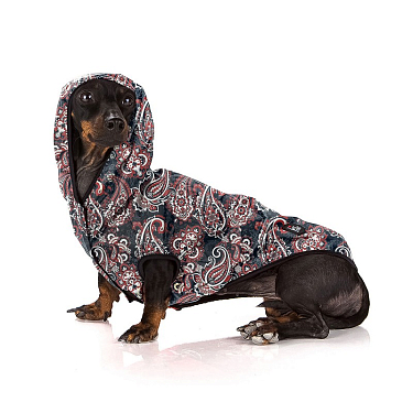 Одежда для собак: Дождевик для собак "Fresh Paisley"