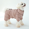 Одежда для собак
