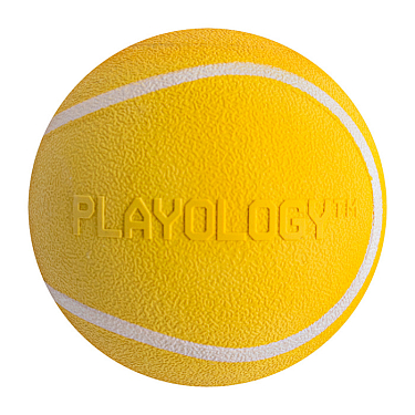 Игрушки: Хрустящий жевательный мяч SQUEAKY CHEW BALL с пищалкой и с ароматом курицы
