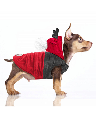 Одежда для собак: Куртка "Hanki rouge"