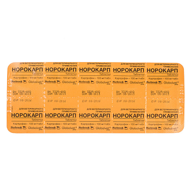 Аптека: Норокарп 100 мг, 10 таблеток