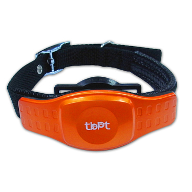 Аксессуары для собак: GPS ошейник (трекер)