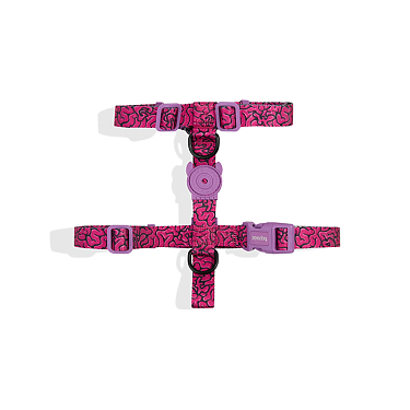 Поводки и ошейники для собак: Шлейка LORDS OF ZEE.TOWN BRAIN Zee.Dog