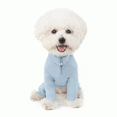 Одежда для собак: Костюм "Ring Zipped"